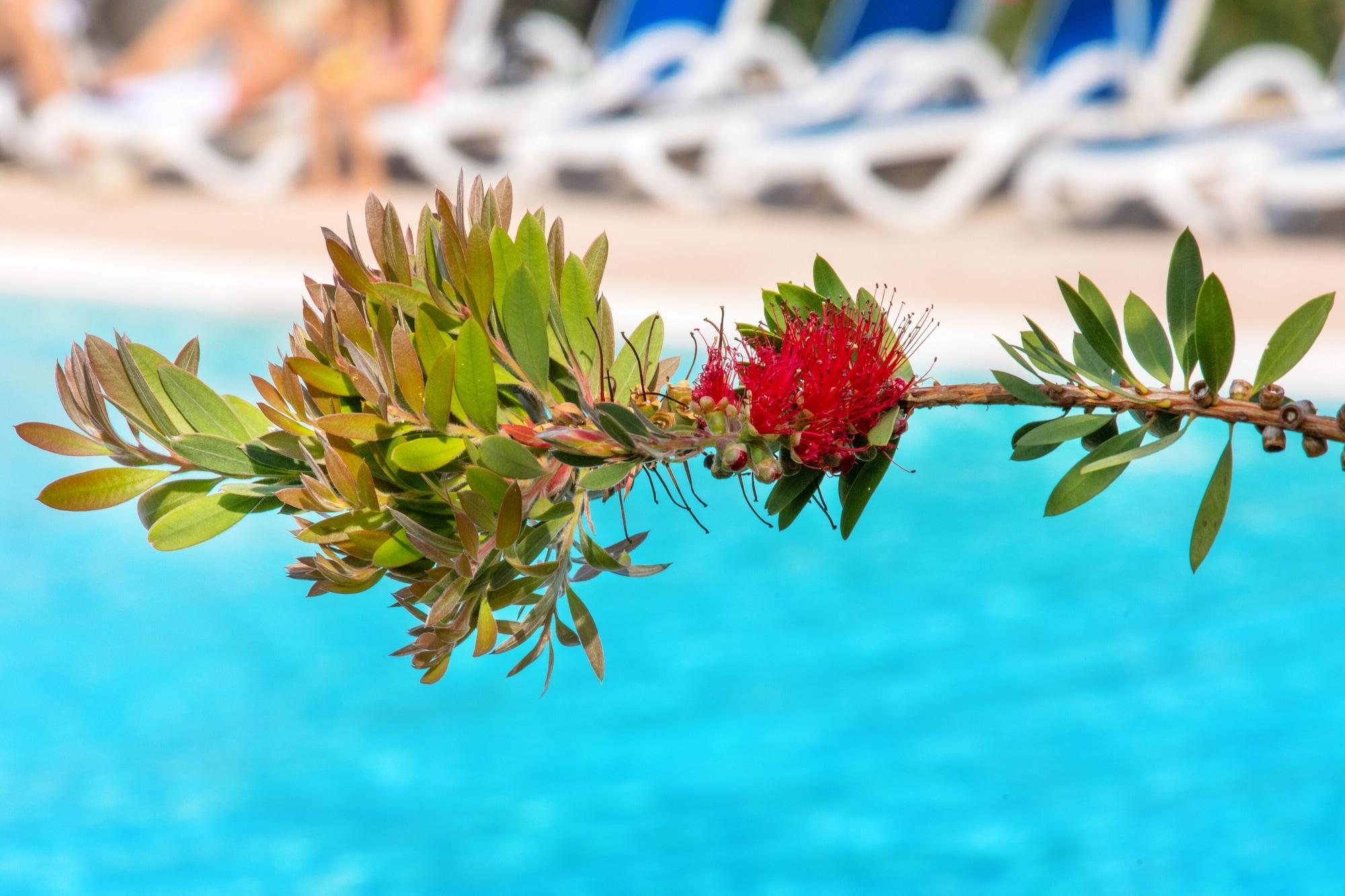 Sowell Family Riviera Hotel Saint-Raphael  Ngoại thất bức ảnh